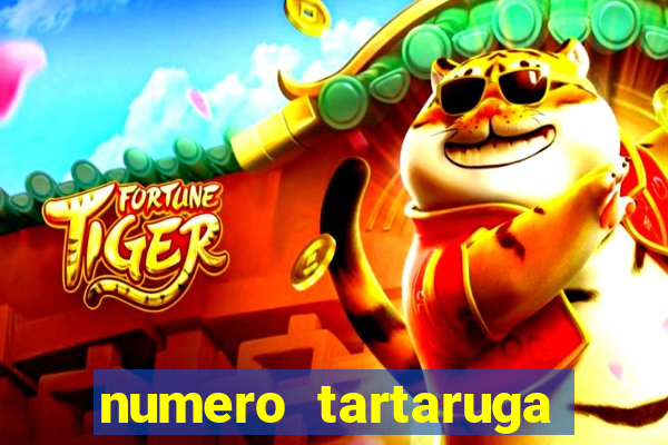 numero tartaruga jogo do bicho